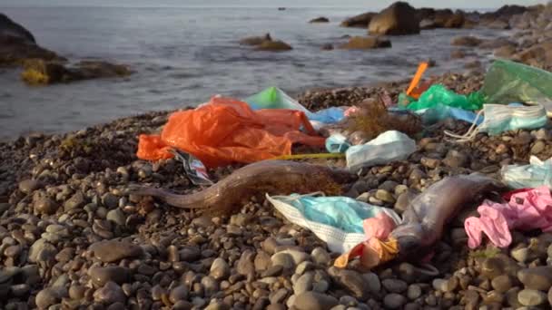 死鱼缠在医疗面罩里Covid 19医用海洋污染。在海上丢弃一次性塑料面罩和手套。处置不当的个人防护设备可杀死海洋生物 — 图库视频影像