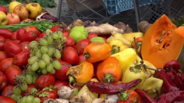 Rozmazlené ovoce a zelenina na skládce. Ztráta jídla a plýtvání jídlem na farmě. Vyhozený shnilý odpad po uvedení na trh — Stock video