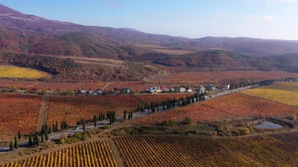 Hermoso paisaje rural italiano en la luz roja del amanecer. Un paisaje de viñedos en una colina con follaje otoñal, vista aérea al valle. Elaboración de vinos, producción de vino, cultivo de uvas, temporada de cosecha — Vídeo de stock