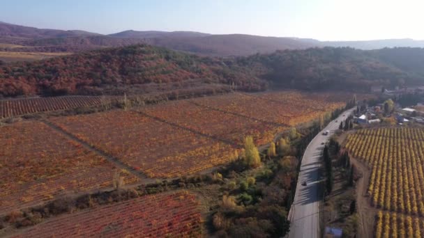 秋天乡村风景。一片秋天的葡萄园,在一座长满红叶的山上,空中俯瞰着山谷.酿酒、酿酒、葡萄种植、收获季节 — 图库视频影像