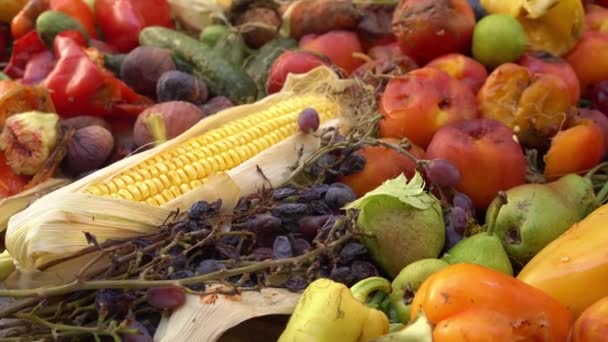 Lebensmittelverschwendung. Verdorbenes verdorbenes Obst und Gemüse. Nahrungsmittelverlust bei der landwirtschaftlichen Produktion und Ernte. Haufenweise Bioabfall. Kompostierbehälter — Stockvideo