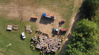 Apple Hasat ve Çiftçilik. Forklift bir kamyona toplanmış meyveleri yüklüyor. Kutulardaki olgun mahsuller sevkiyat için hazırlanıyor. Bahçıvanlık bir iştir. Hava görüntüsü tarımı