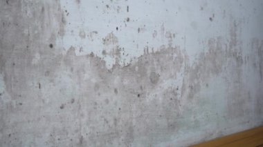 Yaşayan binanın içinde zehirli siyah küf. Duvarlarda ve tavanda büyüme ve çoğalma