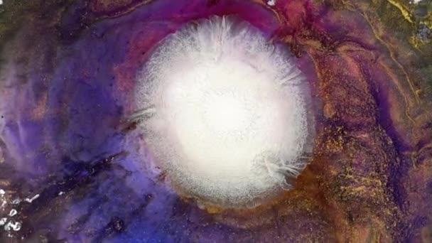 Glitter oro viola inchiostro rosa. Liquido colorato sorprendente sfondo organico astratto. Cerchio ad anello vortice centrale. Esplosione, reazione chimica. Occhio di Dio, Nebulosa Elix, Big Bang, Universo — Video Stock