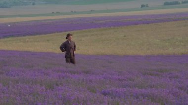 Lavanta Tarlaları Bitki Çiftliği. Orta yaşlı bir çiftçi endüstriyel ölçekte lavanta yetiştirir. Gün batımında güzel mor çiçekler. Sürdürülebilir, bölgesel organik tarım