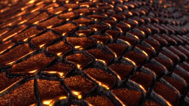 Leather texture. Copper metallic background. Snakeskin pattern. Fashion and clothing industry, shoes, bag, belt, coat and other leather accessories. Leather Upholstery Furniture — Stock Video