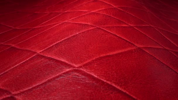 Textura de couro vermelho real extra close up. Padrão natural. Moda e vestuário indústria, sapatos, saco, cinto, casaco e outros acessórios de couro, móveis de estofamento de couro. Contexto abstrato — Vídeo de Stock