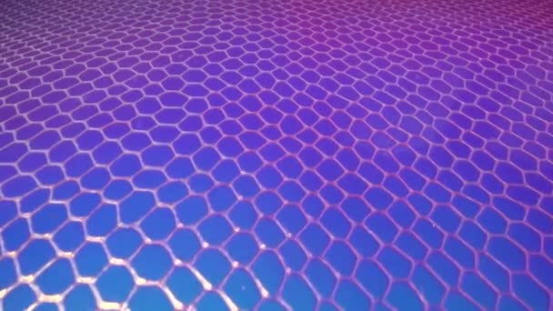 Rosa azul y púrpura neón fondo abstracto retro. Arco iris holográfico superficie sintética con textura celular — Vídeo de stock