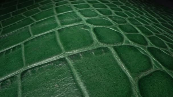 Green crocodile skin. Animal leather texture very close up. Natural pattern, Abstract background. Fashion and clothing industry, Bags, belts and shoes, Leather Upholstery Furniture — Video