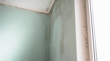 Kapalı alan küf büyümesi. Bir binada zehirli siyah küf. Duvarlarda, tavanlarda yoğunlaşma var. Yüksek nem, nem ya da su hasarı olan oturma odası. Hindistan 'da Covid-19 ve siyah mantar.