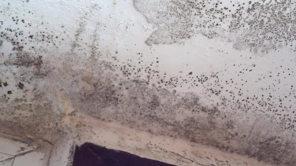 Covid-19 and black fungus in India. Black Mold Symptoms. Moisture from water damage, water leaks, condensation, water infiltration, or flooding — Vídeo de Stock