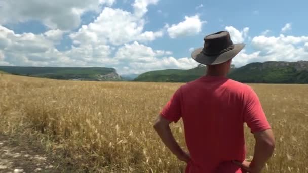 A middle-aged american man farmer in a hat stands in a field and looks at a ripe field of wheat. Agriculture industry harvesting concept — Stockvideo