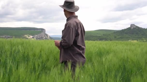 Wheat Farming. Farmer man in a walk on a green wheat field. Agronomist grows wheat, Fammily small farming — Stockvideo