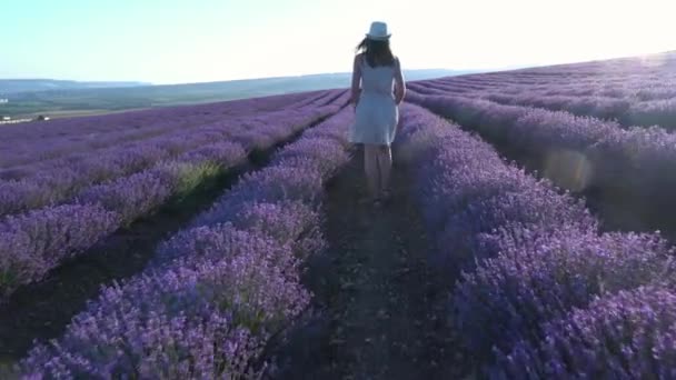 Una mujer en un vestido camina a través de un campo de lavanda floreciente — Vídeos de Stock