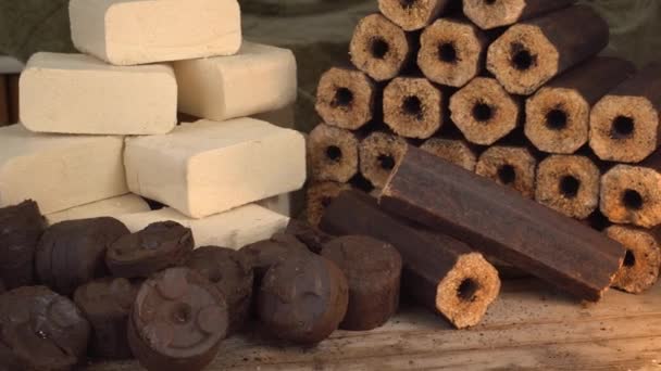 Briquetes de serradura: aqueles com furos no centro, e aqueles que são sólidos. Bioenergia sustentável — Vídeo de Stock