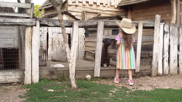 En bondflicka matar en get och en kanin på gården. Liten familjejordbruk på bakgården — Stockvideo