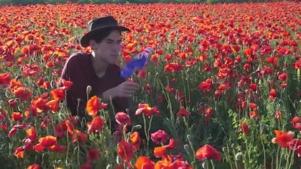 Νεαρός με σημαία Νέας Ζηλανδίας στο χωράφι. Η κόκκινη παπαρούνα — Αρχείο Βίντεο