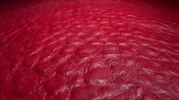 Červená barva exotické kůže. Skutečná kožená textura velmi zblízka. Přirozený vzor. Módní a oděvní průmysl, tašky, opasky a boty. Kožený čalouněný nábytek — Stock fotografie