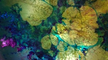 Mavi yeşil ve sarı alkol mürekkepli soyut lekeler. Soyut geçmişe dönük arkaplan