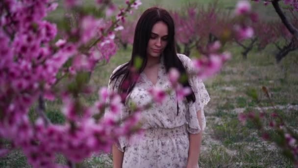 Gli alberi nel frutteto di pesche sono in fiore con fiori rosa brillante, primavera. Ragazza carina in un abito estivo — Video Stock