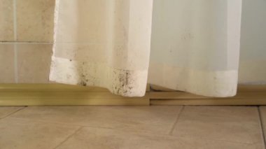 Duş perdesindeki küf. Zehirli siyah küf. Yüksek seviyede nem, banyo ve bodrum katı. Kumaş 'tan küf çıkarılıyor. Hindistan 'da Covid-19 ve siyah mantar.