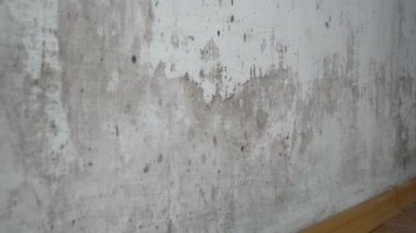 Aşırı nem ve durgun su, evlerde ve diğer binalarda küfün büyümesine katkıda bulunur. COVID-19 ve Siyah Mantar