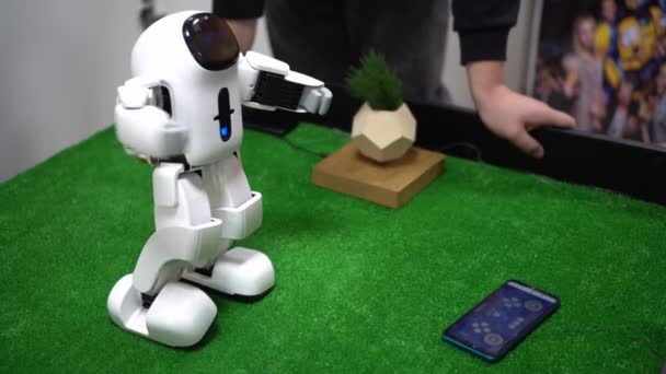 Ένα σύγχρονο παιχνίδι ρομπότ στην έκθεση σύγχρονης ρομποτικής και προηγμένων τεχνολογιών. — Αρχείο Βίντεο