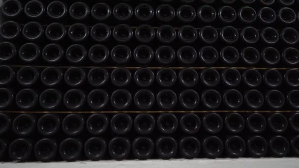 Muitas garrafas de vinho de vidro em prateleiras de vinho. Caves do Vinothek. Armazenar e envelhecer Vinho — Vídeo de Stock