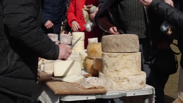 Degustazione di formaggio. Formaggio artigianale al bancone del mercato locale. Azienda agricola a conduzione familiare — Video Stock