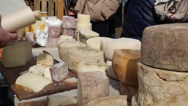 Avrupa haftalık çiftçi pazarında yerel peynirler. Çiftçiler zanaatkar peyniri satar — Stok video