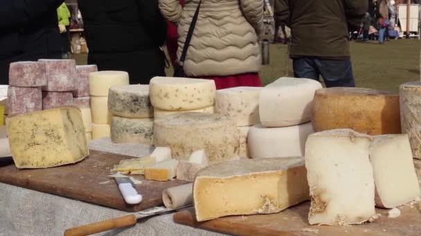 Farmers Market em um espaço ao ar livre cheio de barracas oferecendo queijo artesanal — Vídeo de Stock