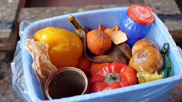집안의 음식 낭비, 오렌지 껍질. 먹지 않은 썩은 과일 과 주스 찌꺼기를 쓰레기통에 버리는 여자 — 비디오
