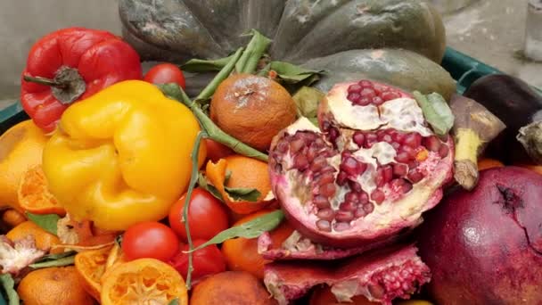 Непродаваемые поврежденные сырые фрукты и овощи на свалке. Отходы и потери продуктов питания — стоковое видео