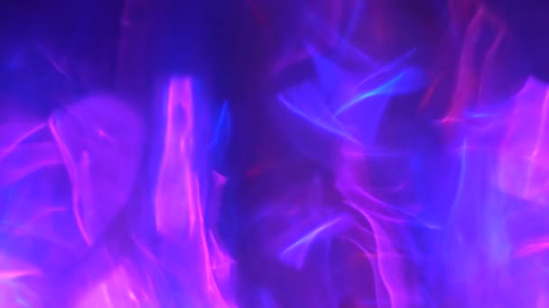 진한 파란색, 뜨거운 핑크 색, 강렬 한 보라색 추상 네온 디지털 일렉트로 배경 — 비디오