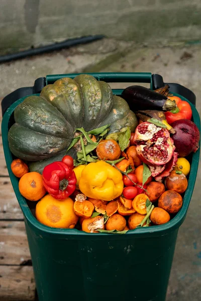 Buang buah-buahan dan sayuran busuk di tempat sampah. Kerugian di peternakan dan di kebun, limbah makanan — Stok Foto