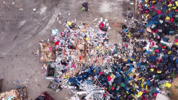 Egy hulladékválogató központ újrahasznosításra. Az újrahasznosítható papír csomagolás, kartondoboz, műanyag, alumínium, üveg és fém. A munkások szemetet, szemetet, hulladékot válogatnak — Stock videók