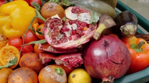 Perdita di cibo e sprechi alimentari. Frutta nel cassonetto. Negozi di alimentari buttare fuori il cibo — Video Stock