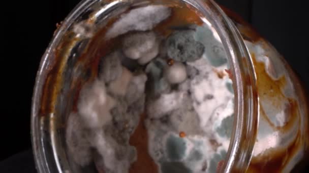 食品上的霉菌。玻璃瓶中的未煮沸食物关上了.因霉菌而产生的杂物废物 — 图库视频影像