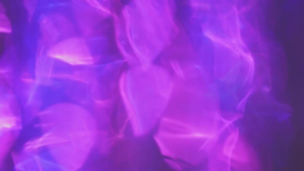 Lens reflections. Pink and purple neon lamps lights. Abstract futuristic cyberpunk background — Vídeo de stock