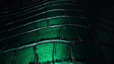 Leather texture close up. Green eco-leather. Fashion industry