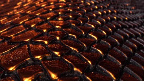 Leather texture close up. Leather in fashion industry. Animal skin – Stock-video