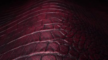 Leather texture close up. Raw material for leather bags, shoes, jackets, purse, garments, shoes, belts