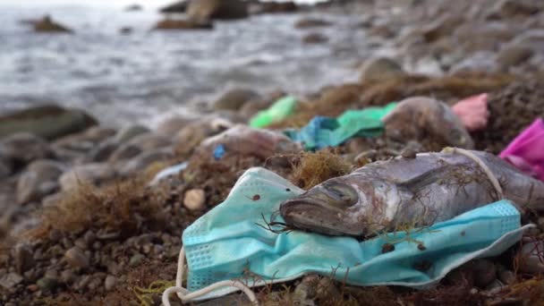 在海滨丢弃的医疗面具和死鱼 Covid 19废物和生态灾难 — 图库视频影像