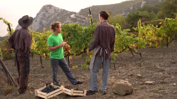 Üzüm Bağı Ailesi Şarap Hasat Sezonu Üzüm Toplama Üzüm Toplama — Stok video