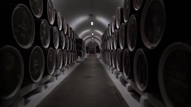 倉庫の樽積み上げ 貯蔵室内の列に座っている木製のオークウイスキー ワインまたはビール樽 — ストック動画