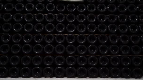 エノテカだ ワイン棚の上の多くのガラス瓶 — ストック動画