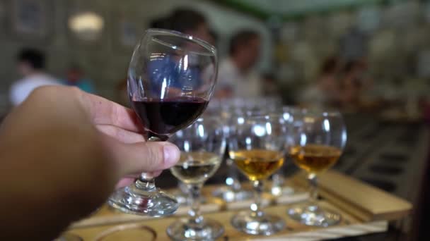 ワインツアーと試飲 ワインの官能検査と評価 — ストック動画
