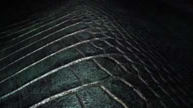 Leather texture close up. Raw material for leather bags, shoes, jackets, purse, garments, shoes, belts