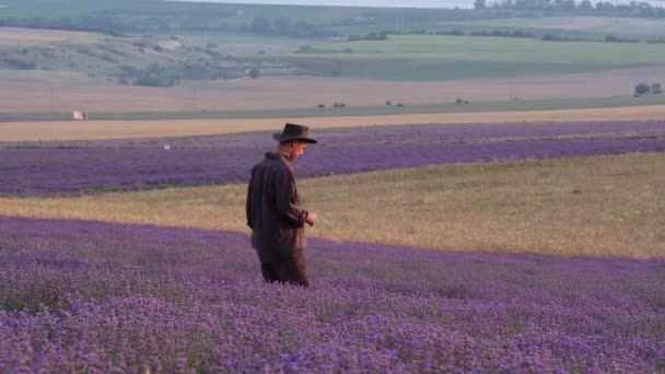 Lawendowy Gospodarstwa Przemysłu Rodzina Farmerów Kwitnącym Polu Rolnictwo Lawendowe Dla — Wideo stockowe