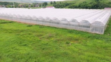 Ticari Sera Çiftliği. Hidrofonik Çiftlik Sistemleri